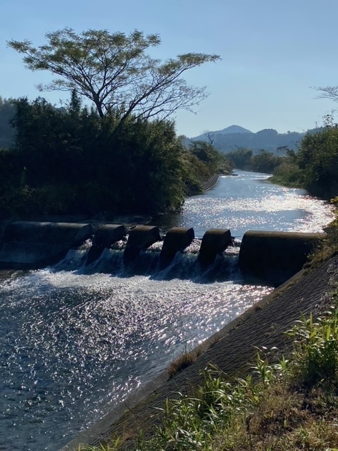 image1.jpeg